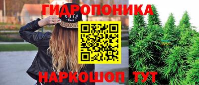 apvp Гусь-Хрустальный