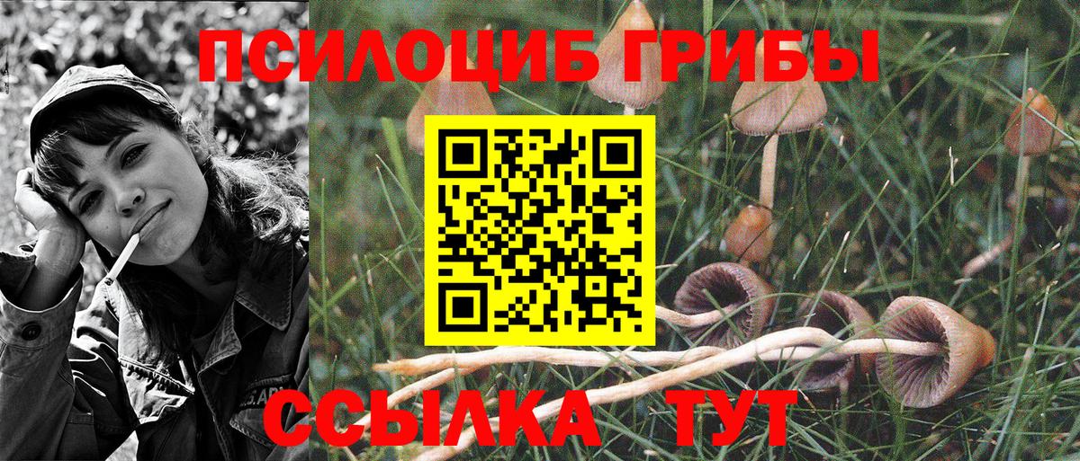 Галлюциногенные грибы GOLDEN TEACHER  Псилоцибиновые грибы GOLDEN TEACHER  Назрань 