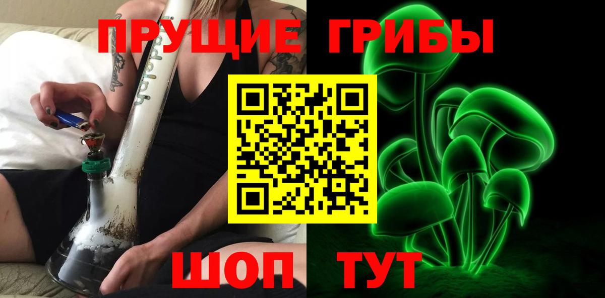 Назрань  Галлюциногенные грибы Cubensis  Вход с VPN 