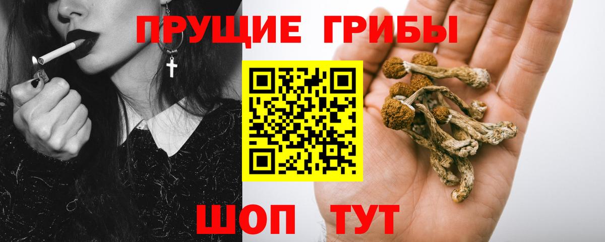 Псилоцибиновые грибы GOLDEN TEACHER Назрань